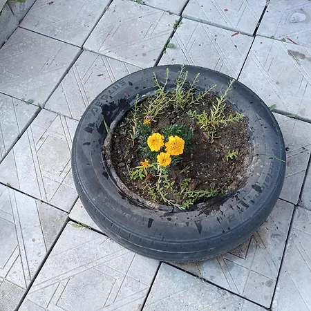 студио еми Apartamento Chepelare