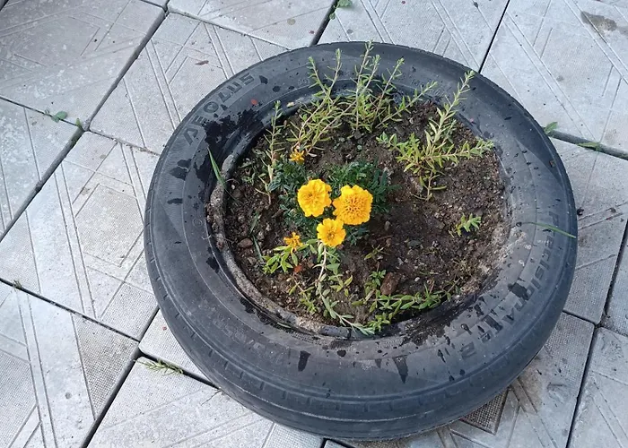 студио еми Apartamento Chepelare