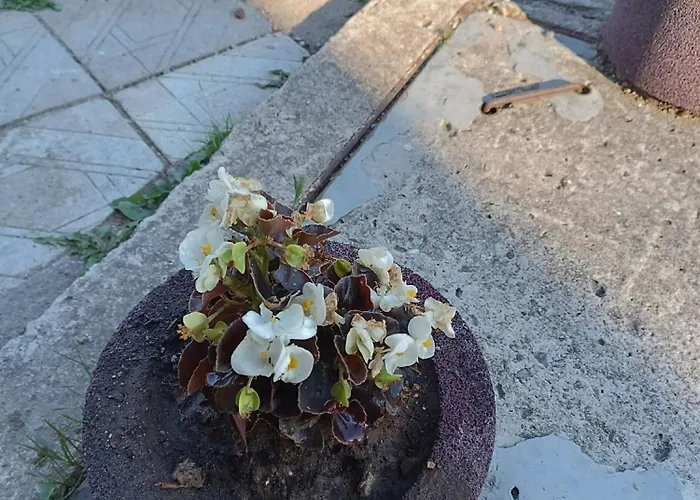 Apartamento студио еми